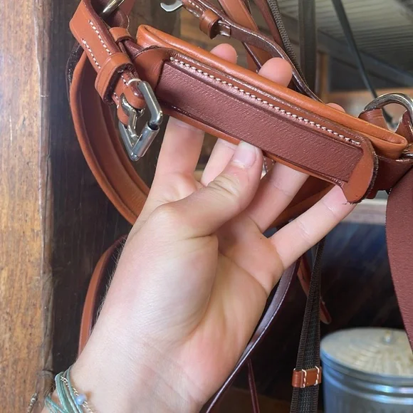 Horse Crank Noseband Flash Bridle - Picture 4 of 4